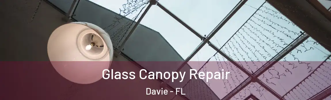  Glass Canopy Repair Davie - FL