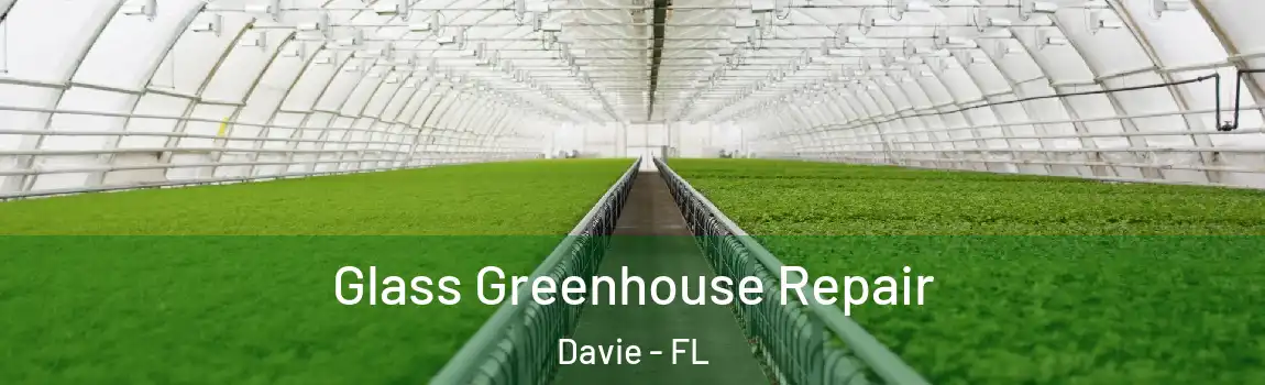  Glass Greenhouse Repair Davie - FL