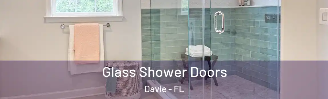  Glass Shower Doors Davie - FL