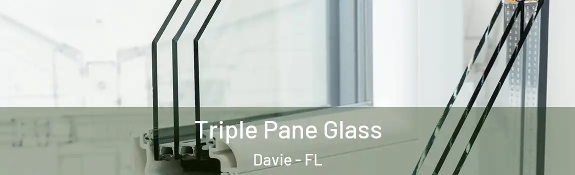  Triple Pane Glass Davie - FL