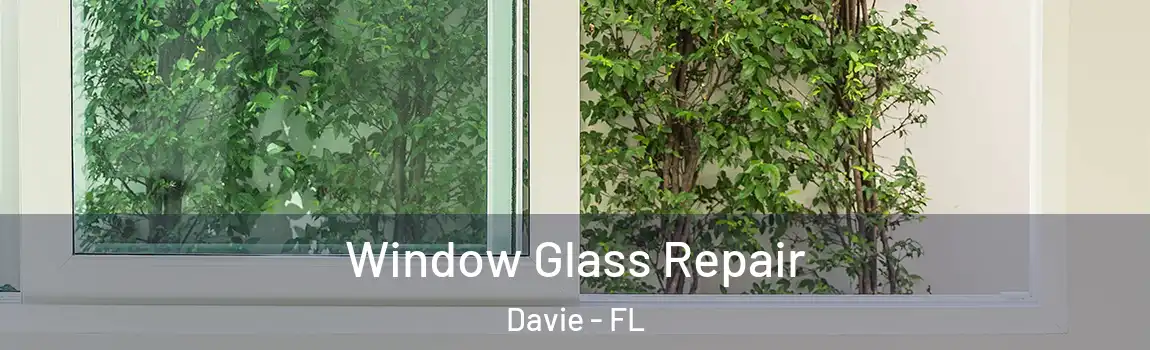  Window Glass Repair Davie - FL