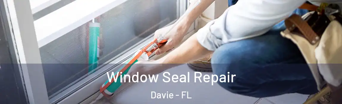  Window Seal Repair Davie - FL